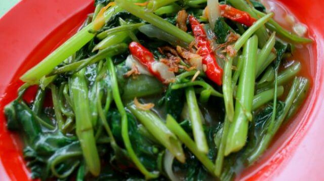 anfaat Kangkung Tanaman Sehat