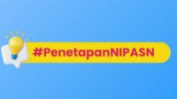 Penetapan NIP CPNS dan PPPK